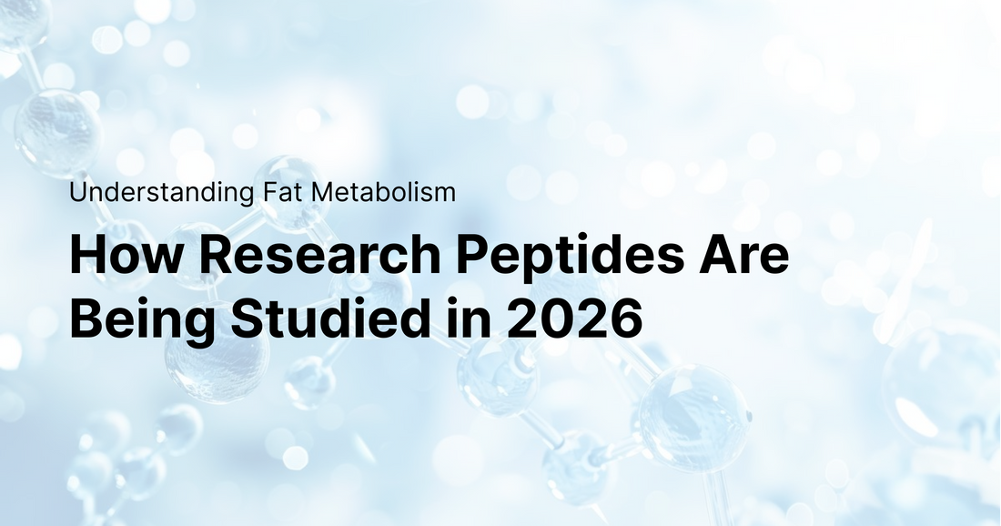 Understanding Fat Metabolism: How Research Peptides Are Being Studied in 2026