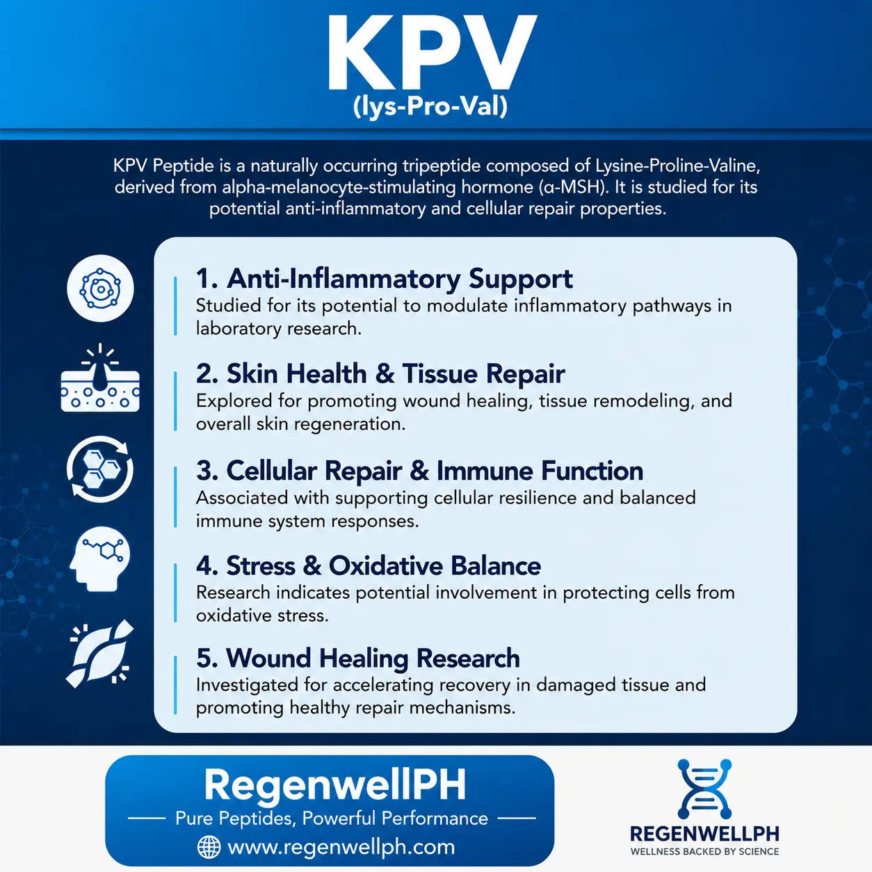 KPV Peptide Philippines | Research Grade Laboratory Peptide Regenwell PH